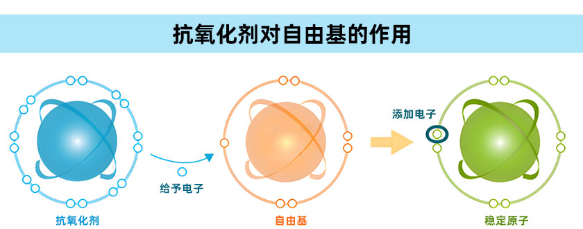 工業(yè)抗氧劑的作用機(jī)理和主要種類(lèi)有哪些