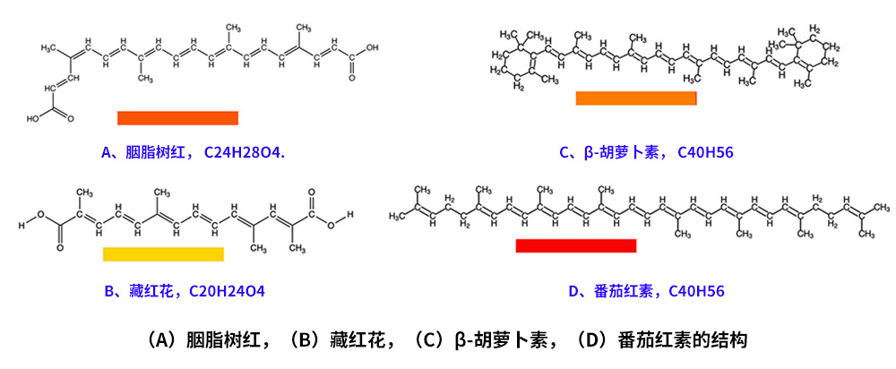 藏紅花、胭脂樹紅、β-胡蘿卜素、番茄紅素的化學(xué)結(jié)構(gòu)